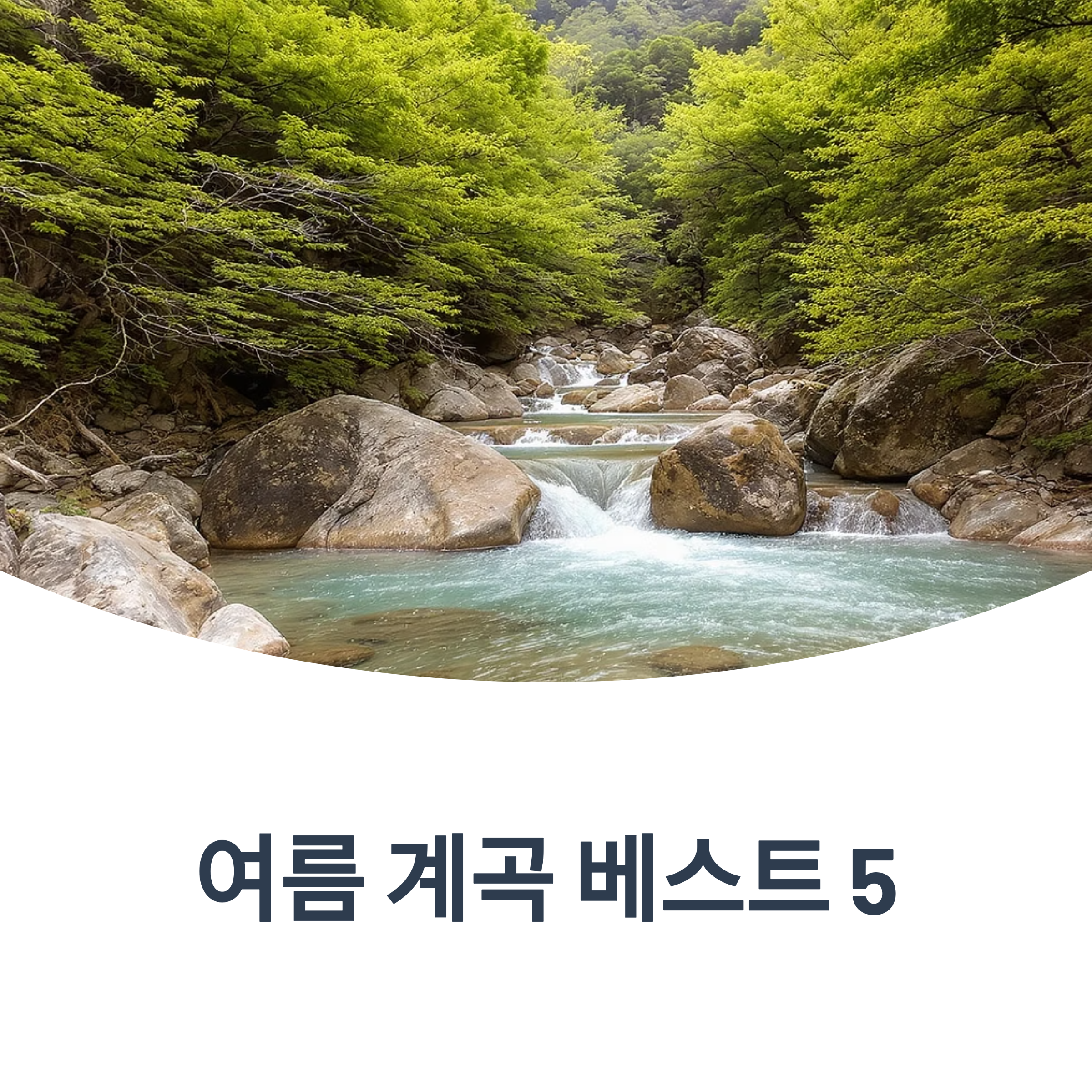 여름 계곡 베스트 5, 진짜 시원한 곳