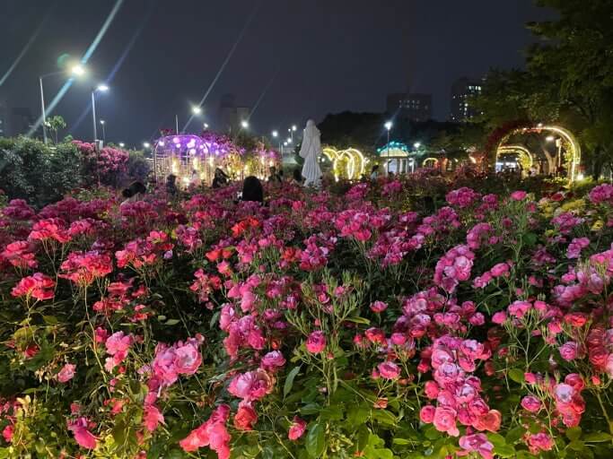 중랑 서울장미축제와 관련된 사진