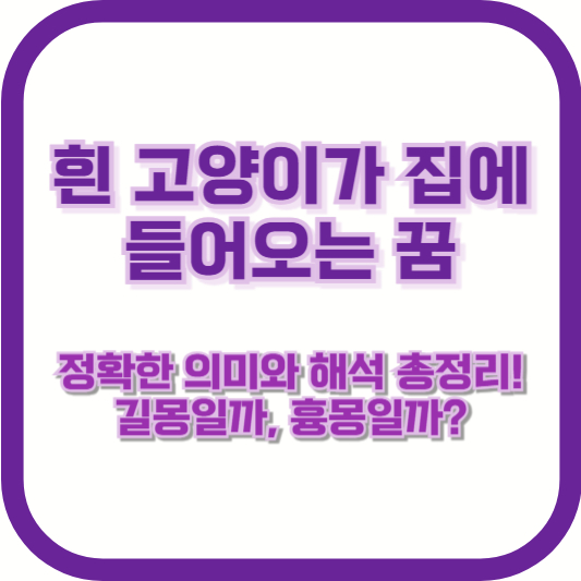 [흰 고양이가 집에 들어오는 꿈] 정확한 의미와 해석 총정리! 길몽일까, 흉몽일까?