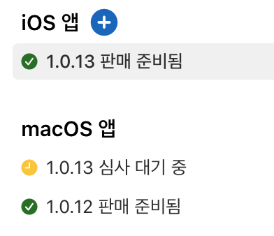 macOS 앱 심사 대기 화면
