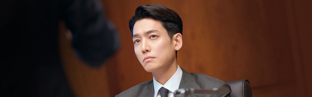프로보노 뜻