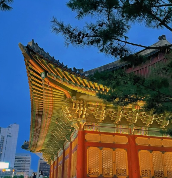 고궁야간개장