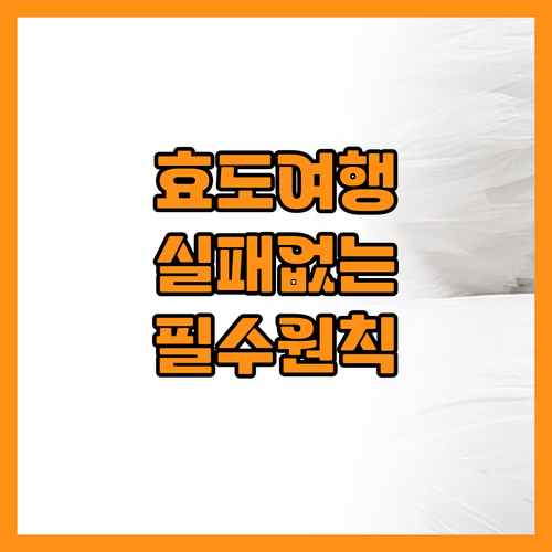 60대 부모님 효도여행 일정 짤 때 ..