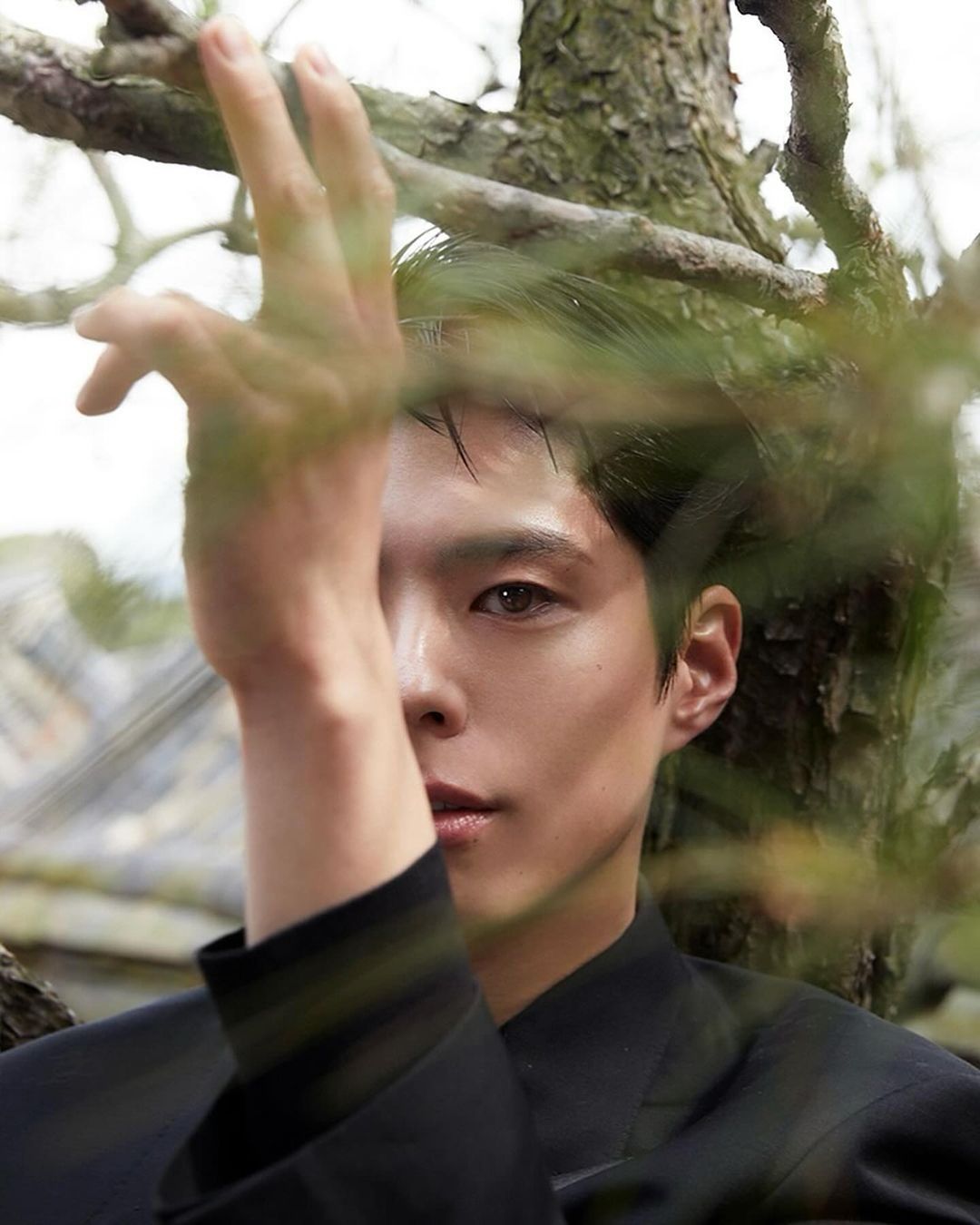 박보검
