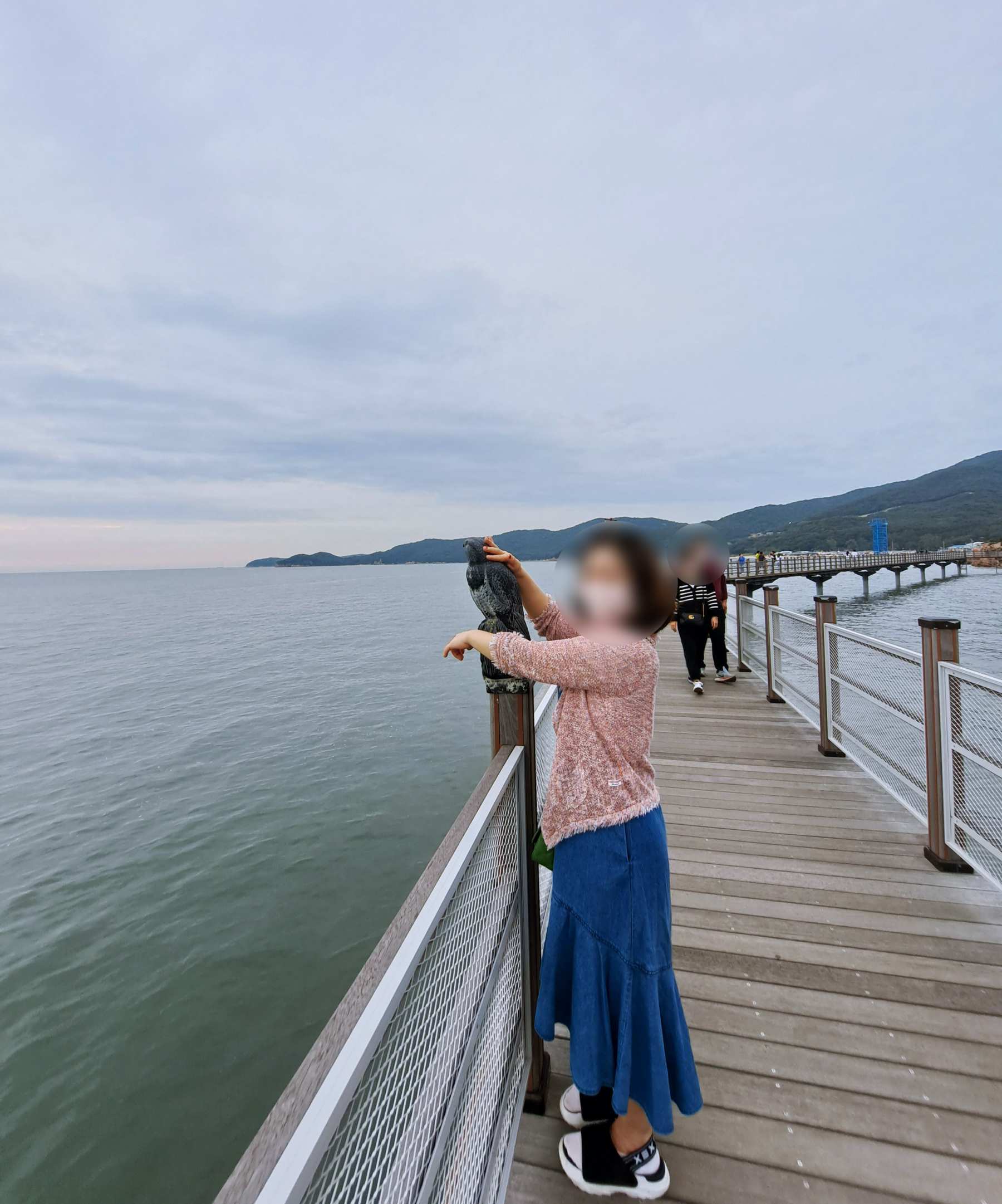 독수리를 쓰다듬다