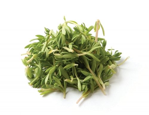 3월 제철음식 총정리