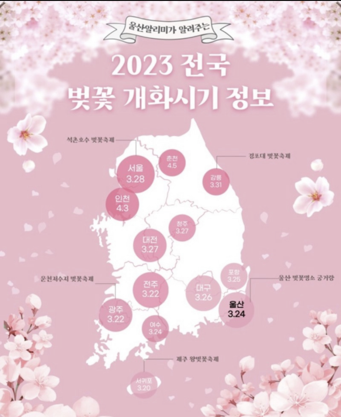 2023년 벚꽃 개화시기