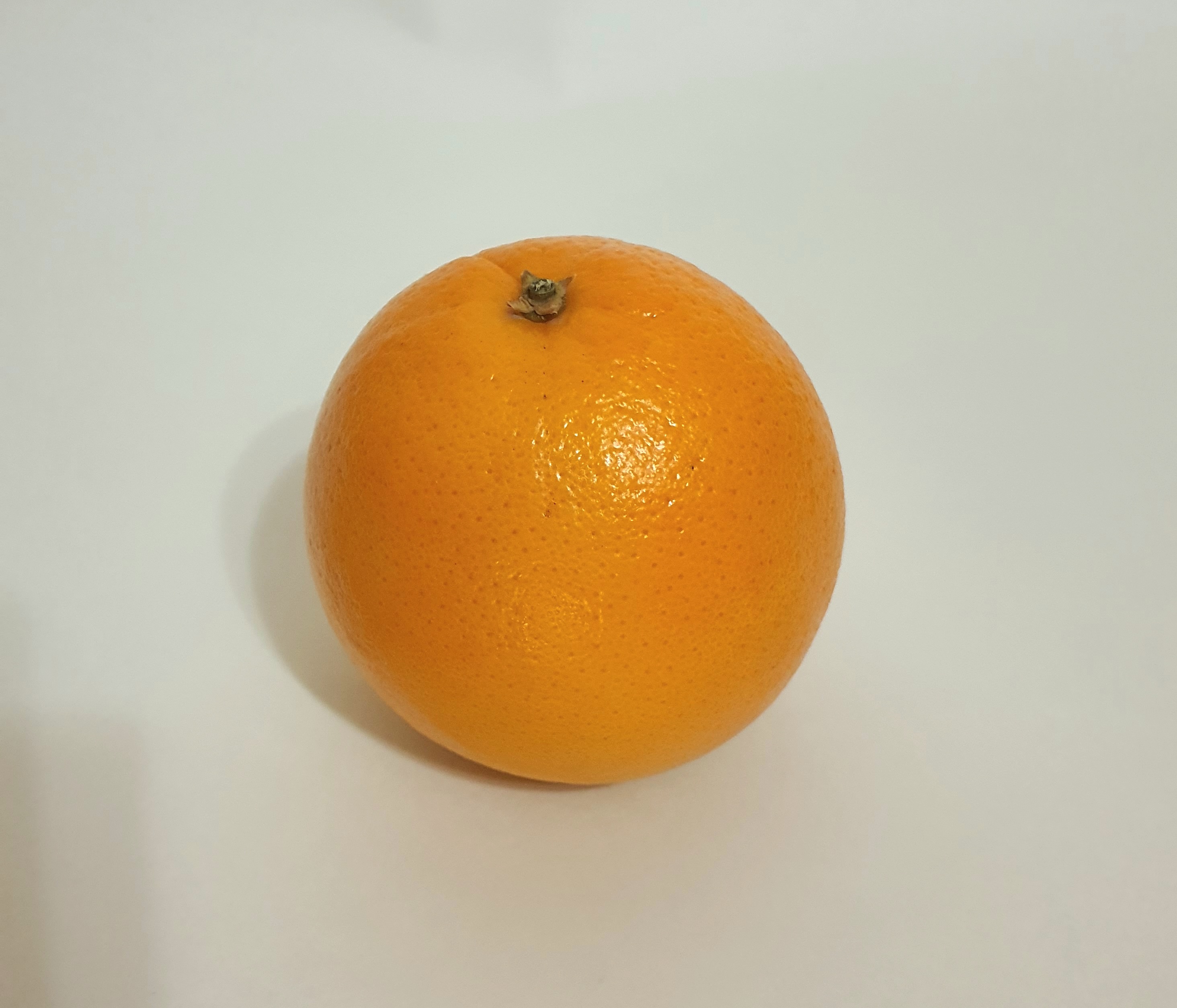 카라카라 오렌지