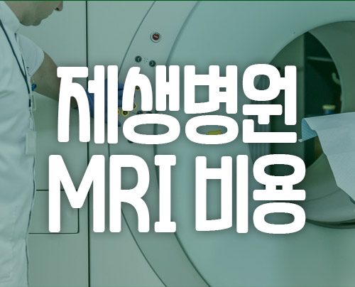 분당 제생병원 mri 비용