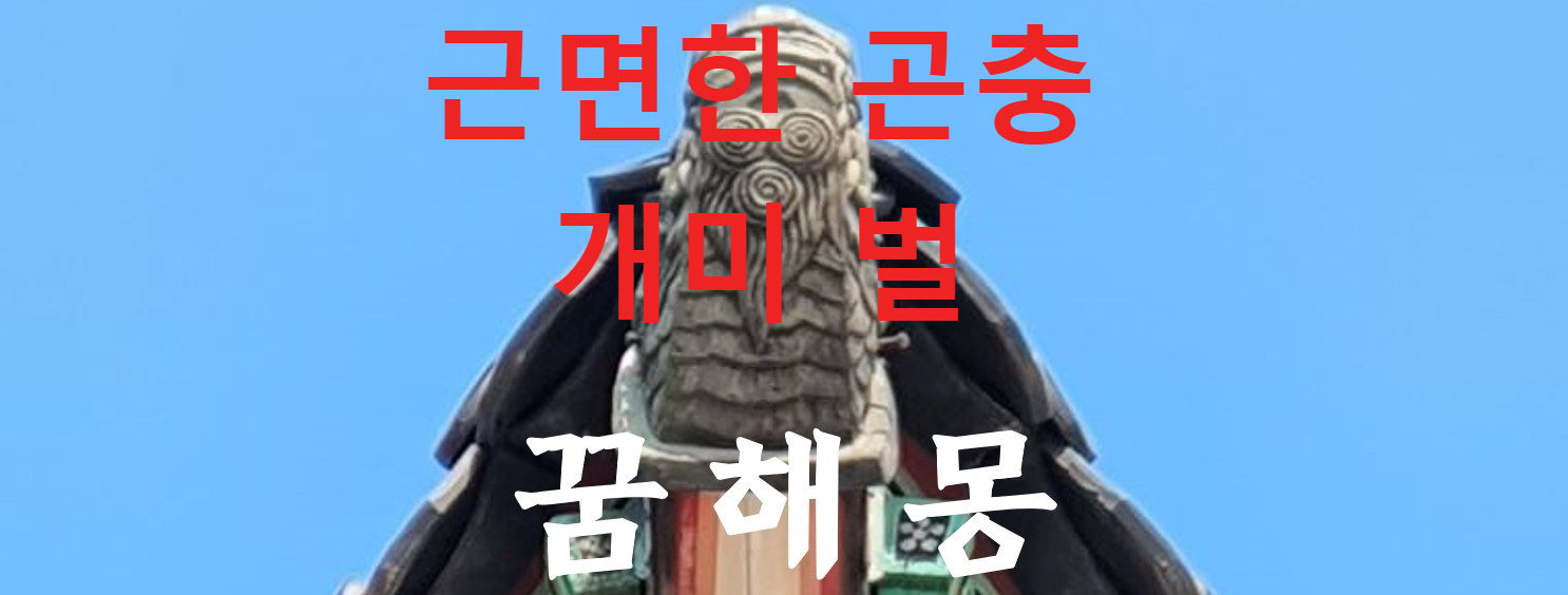 꿈해몽