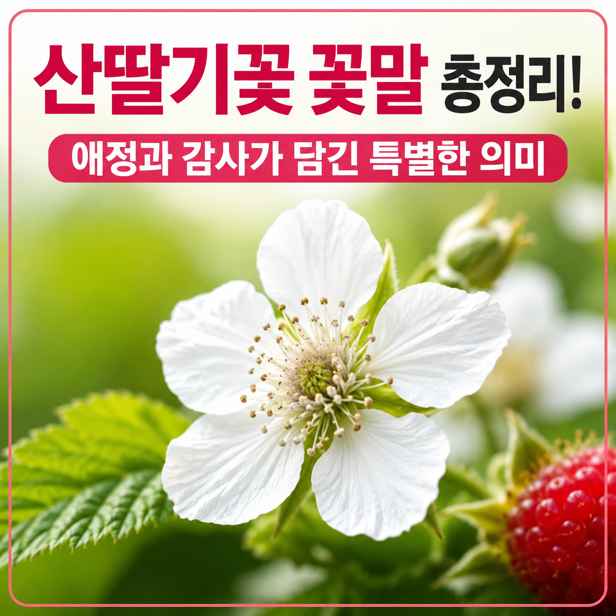 산딸기꽃 꽃말