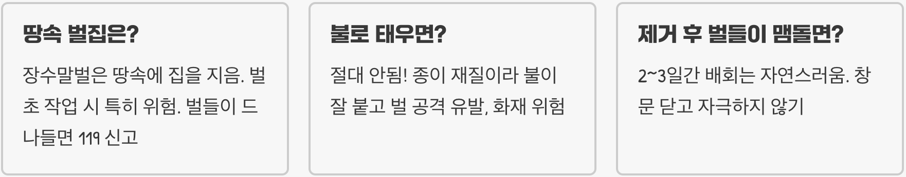 말벌집 완벽 가이드 &ndash; 특징, 위험성, 제거법, 예방 총정리