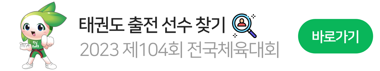 전국체전 태권도 마스코트2