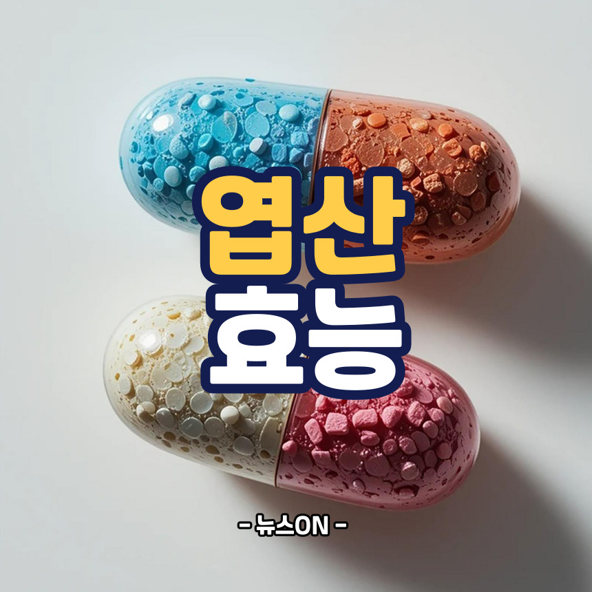 엽산 효능
