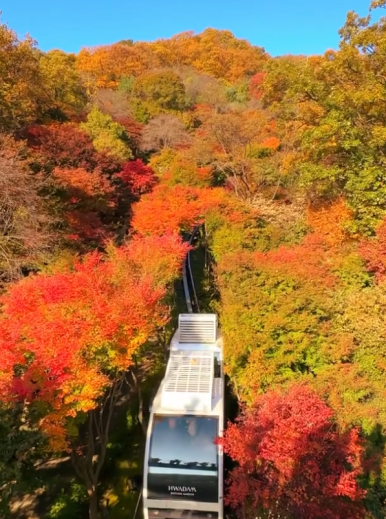 화담숲 예약