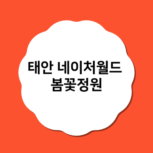태안 네이처월드 봄꽃정원, 지금 가야 할 5가지 이유