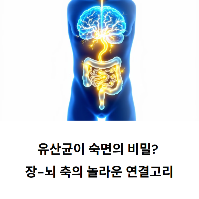 장 건강 유산균이 수면에 미치는 영향, 과학적 접근