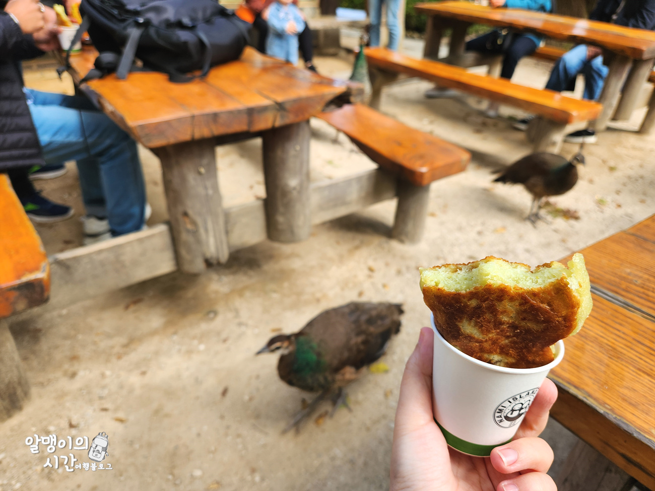 #27 엄마랑 춘천 남이섬 모녀 백패킹 _캠핑 초보자 박지 추천 - undefined - 첫 배 들어오기 전 고요한 남이섬의 아침 #27 엄마랑 춘천 남이섬 모녀 백패킹 _캠핑 초보자 박지 추천 - undefined - 첫 배 들어오기 전 고요한 남이섬의 아침