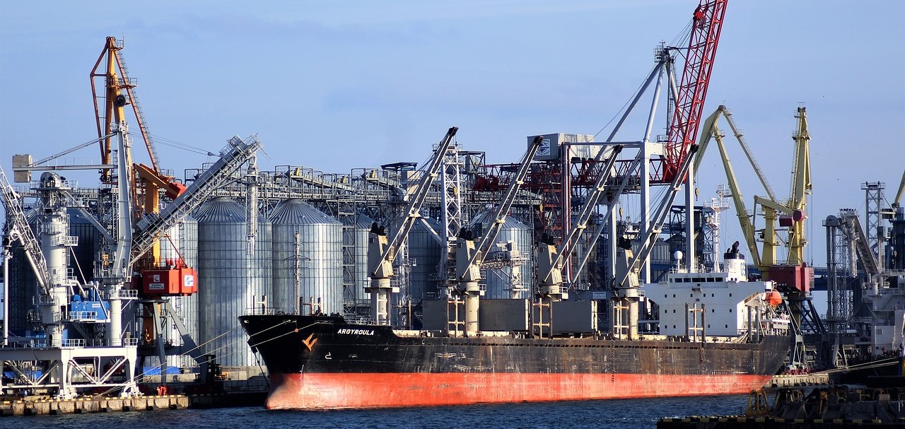 신흥국 관련 사진