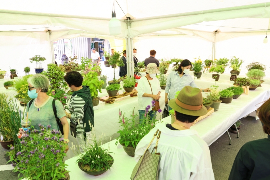 제 40회 단양 소백산 철쭉제 기본정보와 프로그램 정리 정수라 임창근 김완선 출연 