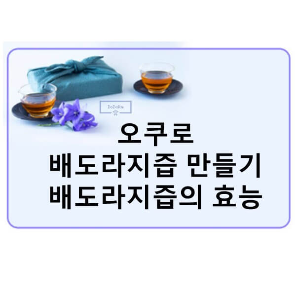 오쿠로-배도라지즙-만들기