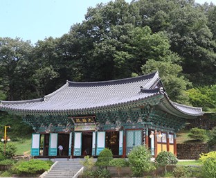 곡성 장미축제
