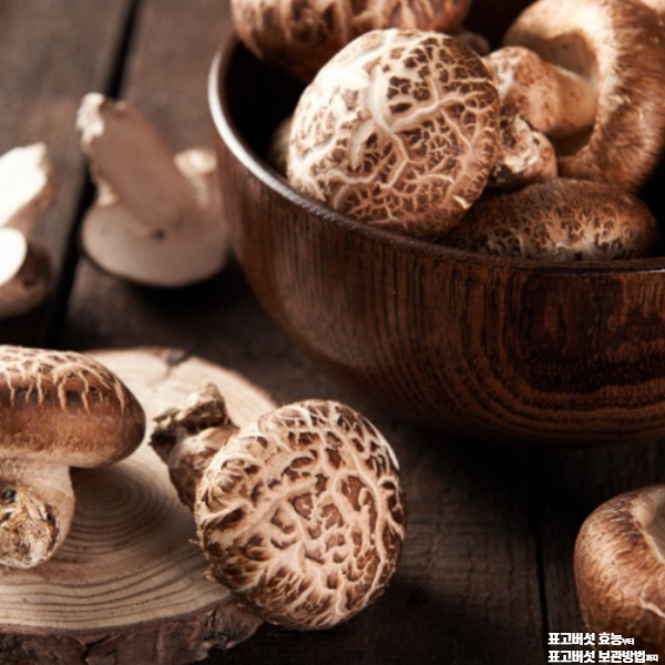 표고버섯 효능│표고버섯 보관방법 