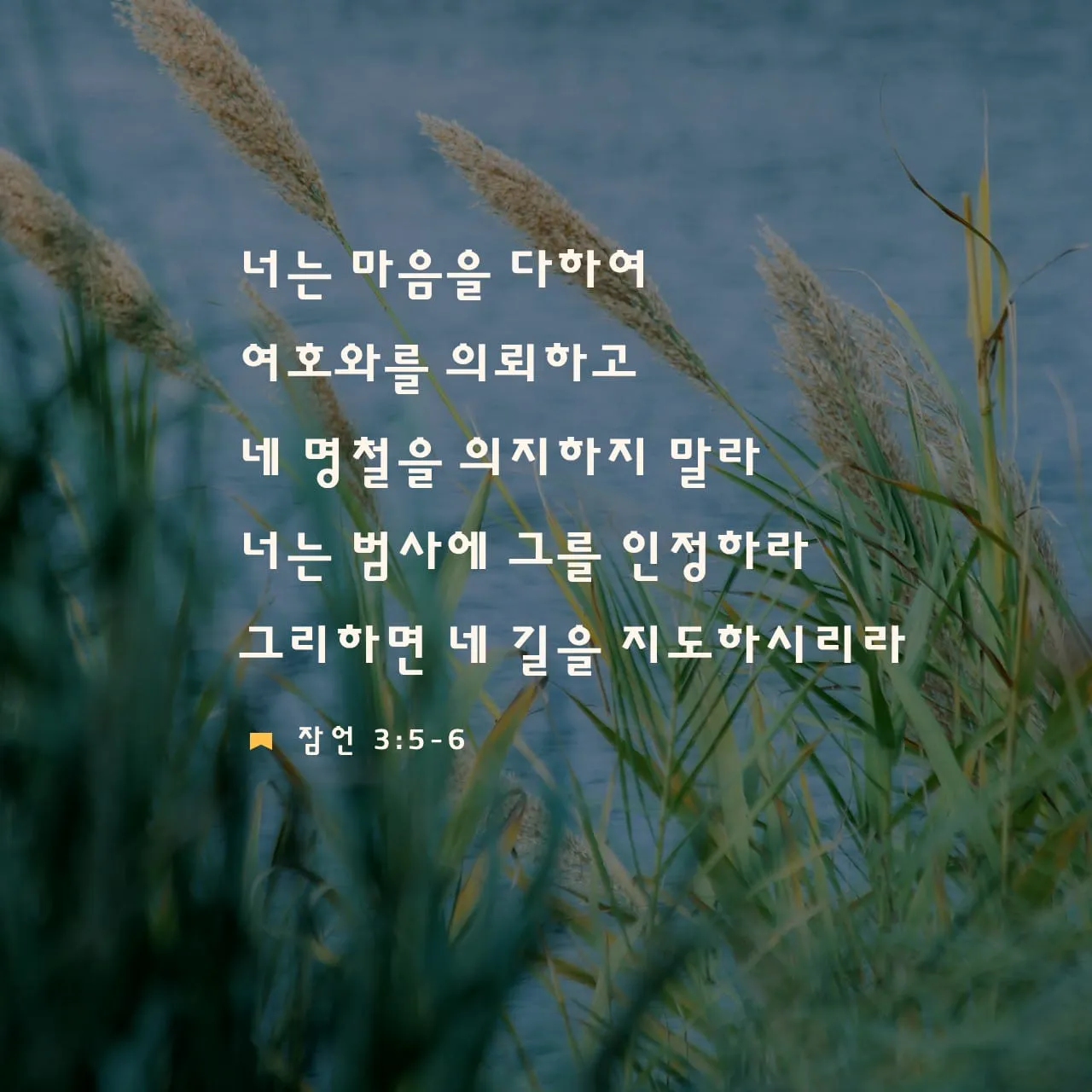 잠언 31장 25절 읽기 - 능력과 존귀로 옷을 삼고 후일을 웃으며_2