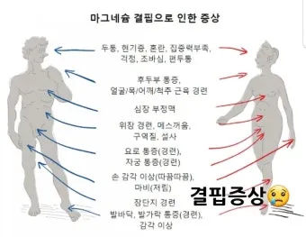 마그네슘 효능 으로_5