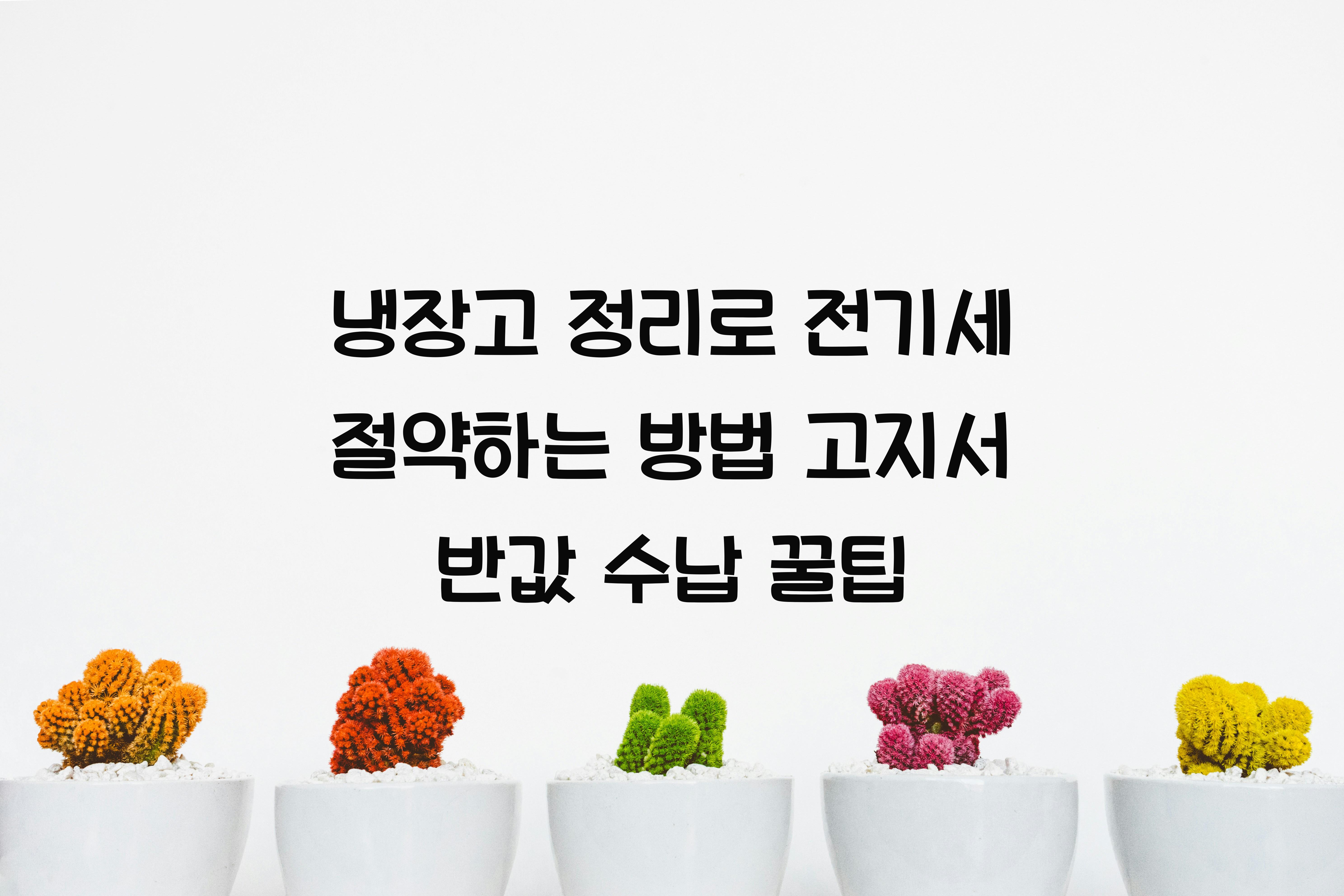 냉장고 정리로 전기세 절약하는 방법