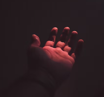 비타민A의 효능 영양제 선택