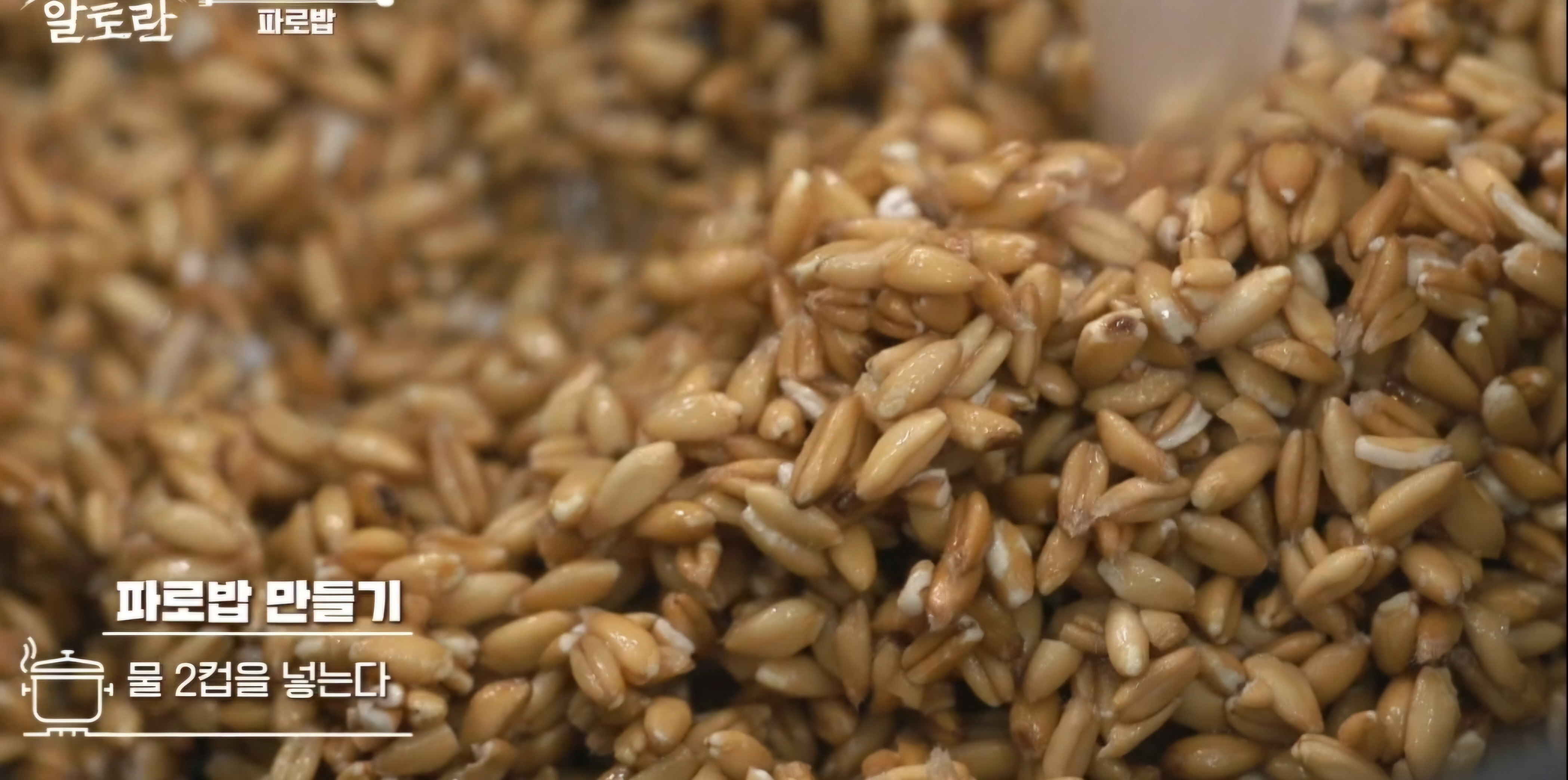 파로밥 만드는 법
