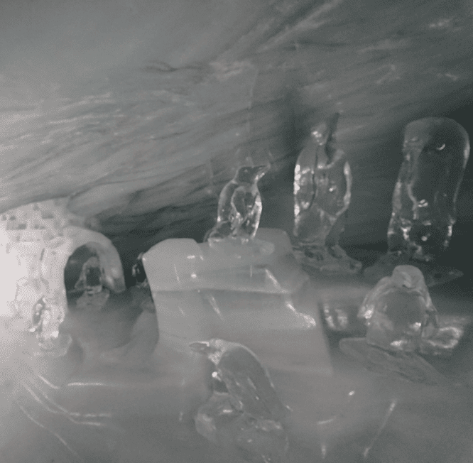 얼음 궁전 펭귄 조각상