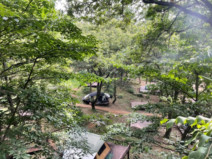 서산캠핑장 추천 국립용현자연휴양림