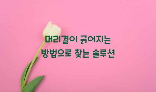 머리결이 굵어지는 방법