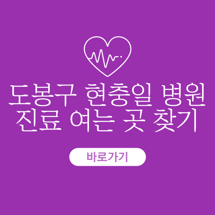 도봉구-현충일-병원-진료-여는-곳-찾기