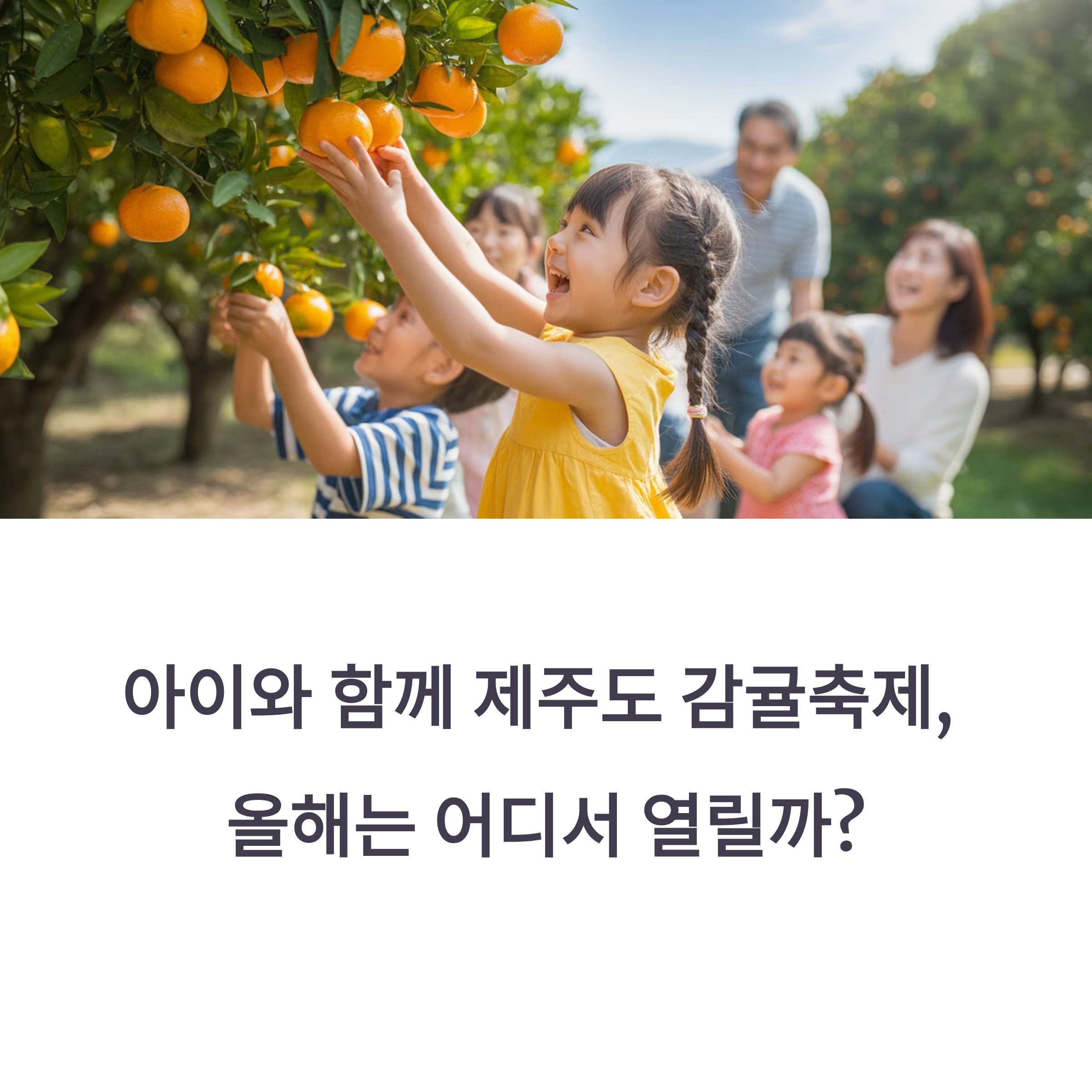 아이와 함께 제주도 감귤축제, 올해는 어디서 열릴까?