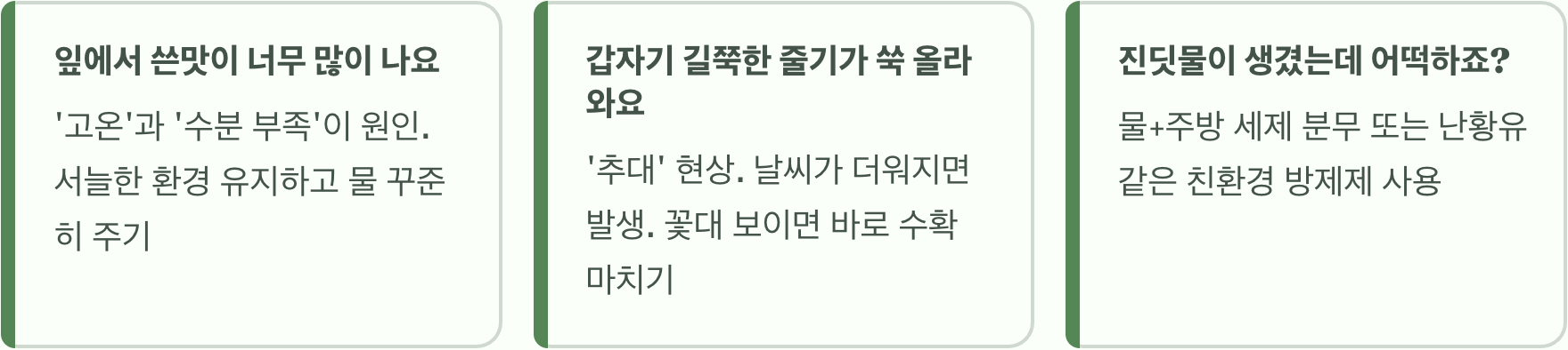 실패 없는 프릴아이스 키우기 A to Z (씨앗 파종, 물주기, 관리)