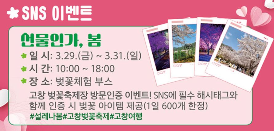 고창-벚꽃축제