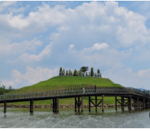 가을 꽃 명소 추천 — 전국 가을 꽃 여행지 총정리