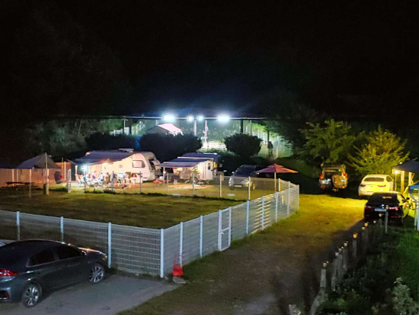 경기-가평에-링크독-애견파크-사진-입니다.