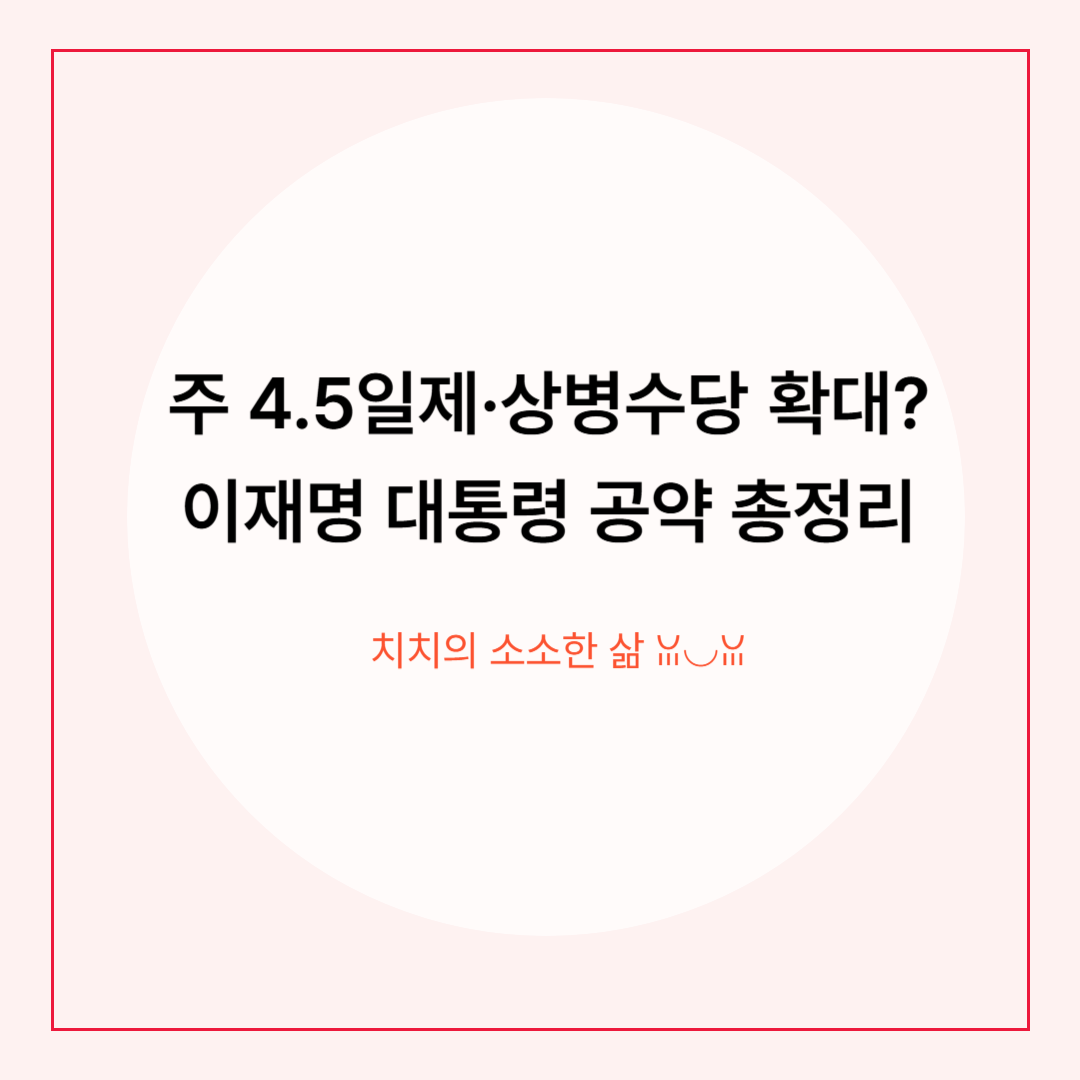 이재명 대통령 공약 정리