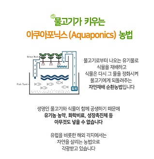 아쿠아포닉스농법설명