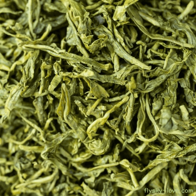 다이어트에 효과적인 녹차