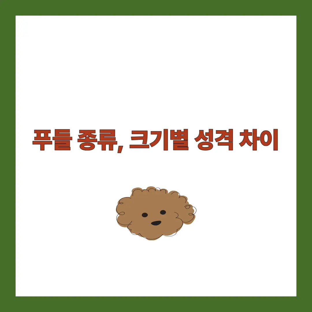 푸들 종류