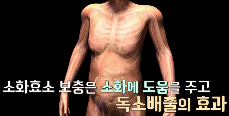 효소 효능