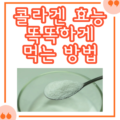 콜라겐의 효능
