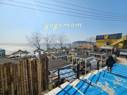 뻘다방