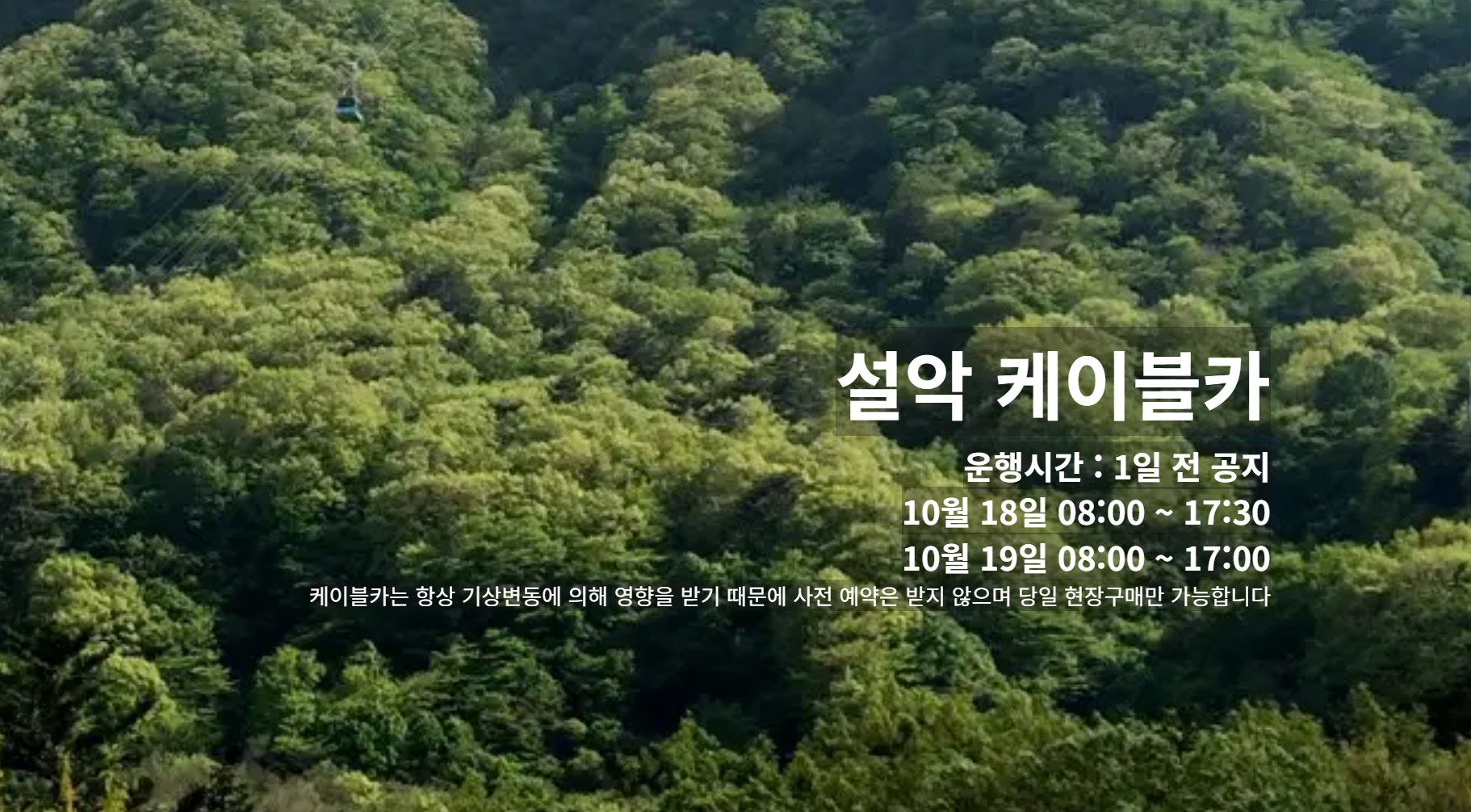 설악 케이블카 운행시간