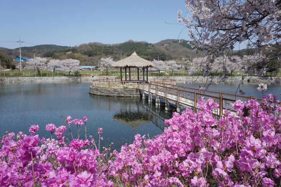 당진 골정지 해안 트레킹 서해안 절경 여행 충남 여행 맛집 숙소 추천